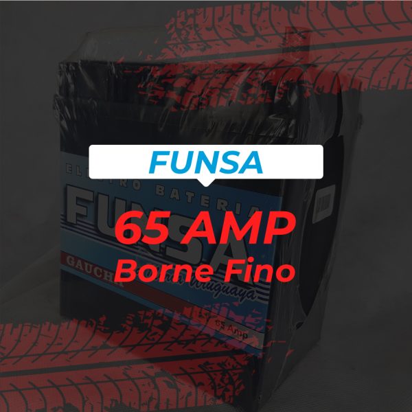 Batería Funsa 65 amp. (Borne Fino)
