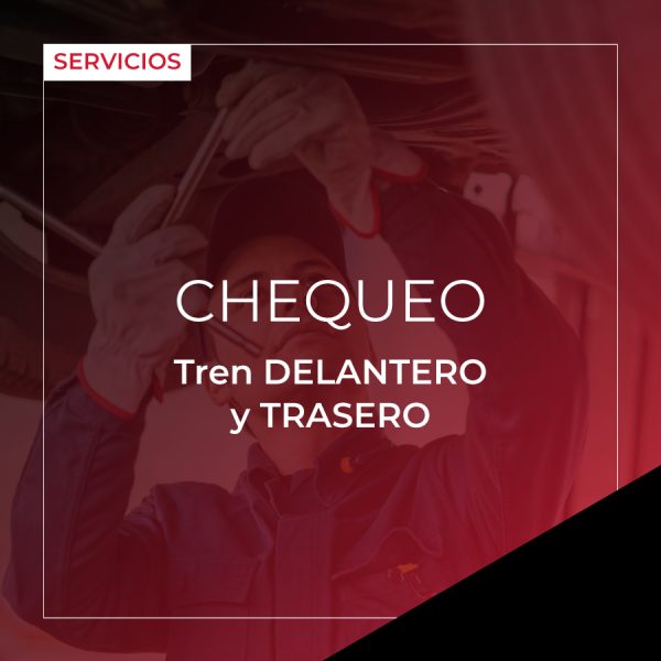 Chequeo Tren Delantero y Trasero